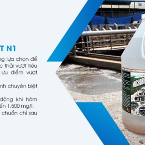 microbe-lift-n1-giup-tai-tao-vi-khuan-nitrat-hoa