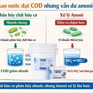 vi-sao-nuoc-thai-dat-cod-nhung-van-du-amoni-nh4