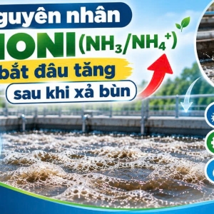 nguyen-nhan-amoni-bat-dau-tang-sau-khi-xa-bun