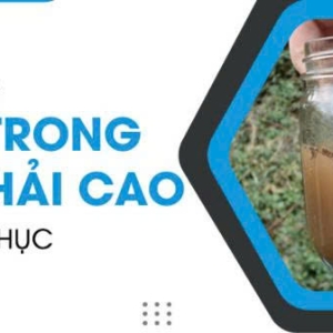 vi-sao-amoni-dau-ra-tang-cao-10-nguyen-nhan-thuong-gap