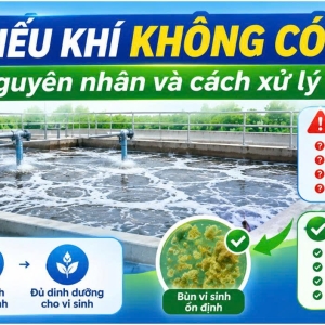 be-hieu-khi-khong-co-bun