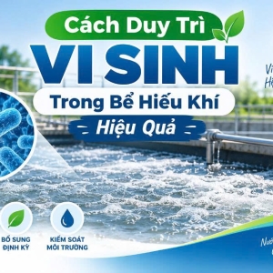 cach-duy-tri-vi-sinh-trong-be-hieu-khi-hieu
