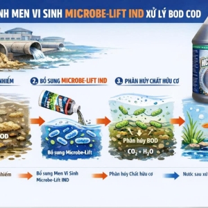 men-vi-sinh-giam-bod-microbe-lift-ind