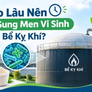 bao-lau-nen-bo-sung-men-vi-sinh-cho-be-ky-khi