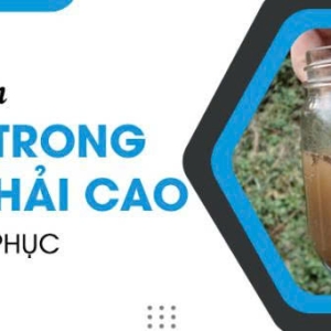 nguyen-nhan-amoni-trong-nuoc-thai-cao-cach-khac-phuc