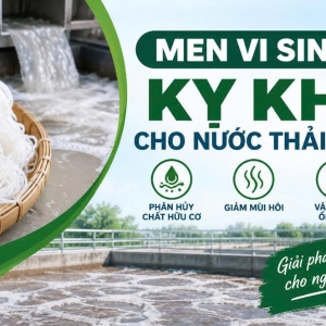 men-vi-sinh-ky-khi-cho-nuoc-thai-bun