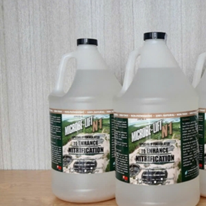 men-vi-sinh-cua-my-xu-ly-nito-hieu-qua-nhat