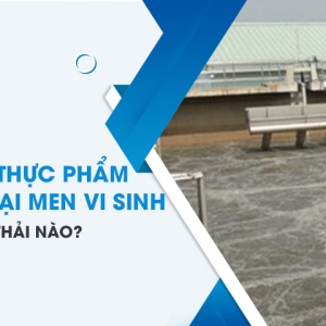 nha-may-che-bien-thuc-pham-nen-chon-loai-men-vi-sinh-xu-ly-nuoc-thai-nao