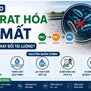 tai-sao-nitrat-hoa-bi-mat-sau-khi-thay-doi-tai-luong