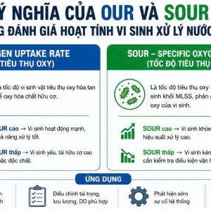 y-nghia-cua-our-va-sour-trong-danh-gia-hoat-tinh-vi-sinh