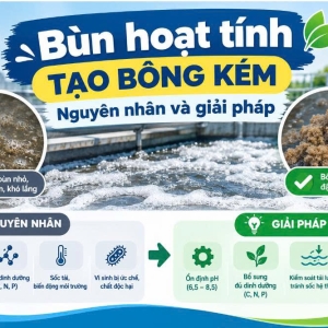 bun-hoat-tinh-tao-bong-kem