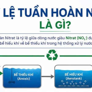 ty-le-tuan-hoan-nitrat