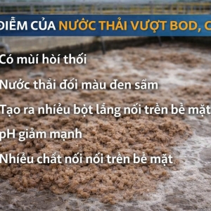 dac-diem-cua-nuoc-thai-vuot-bod-cod-va-cach-xu-ly