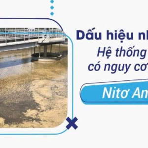 dau-hieu-nhan-biet-thieu-vi-sinh-nitrat-hoa-trong-he-thong-xu-ly-nuoc-thai