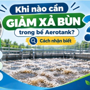 khi-nao-can-giam-xa-bun-trong-be-aerotank