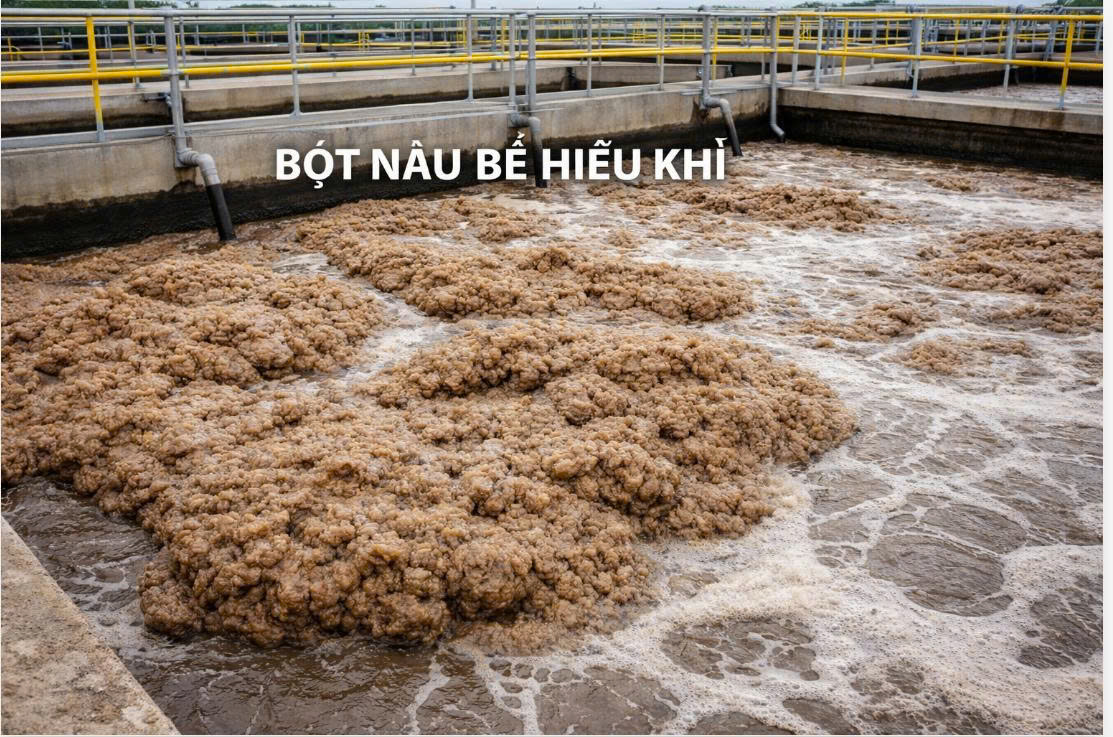 Bọt nâu ở bể hiếu khí