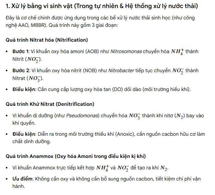 xử lý nitơ và amoni trong tự nhiên:
