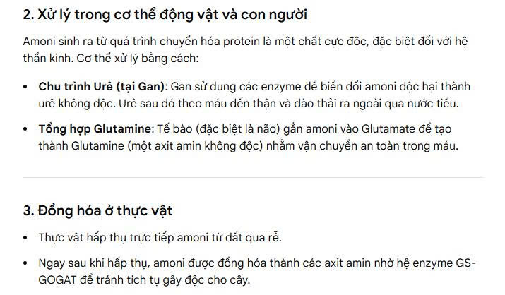 xử lý nitơ và amoni trong tự nhiên:
