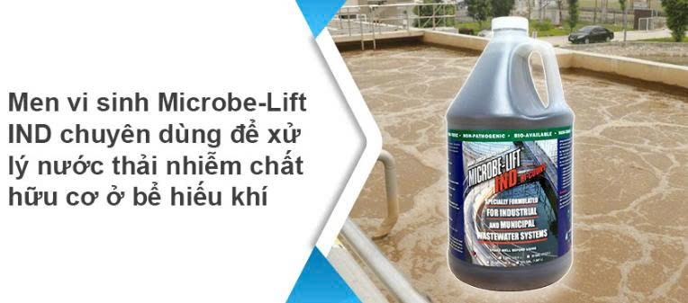 Men vi sinh microbe lift ind phân huỷ chất hữu cơ