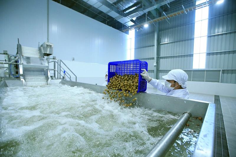 Công Nghệ Xử Lý Nước Thải Hoa Quả Sấy Khô