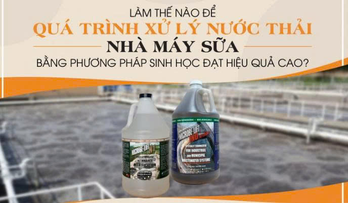 vi sinh xử lý nước thải chế biến sữa