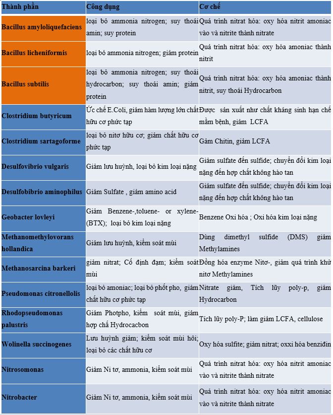 Các chủng vi sinh vật trong xử lý nước thải