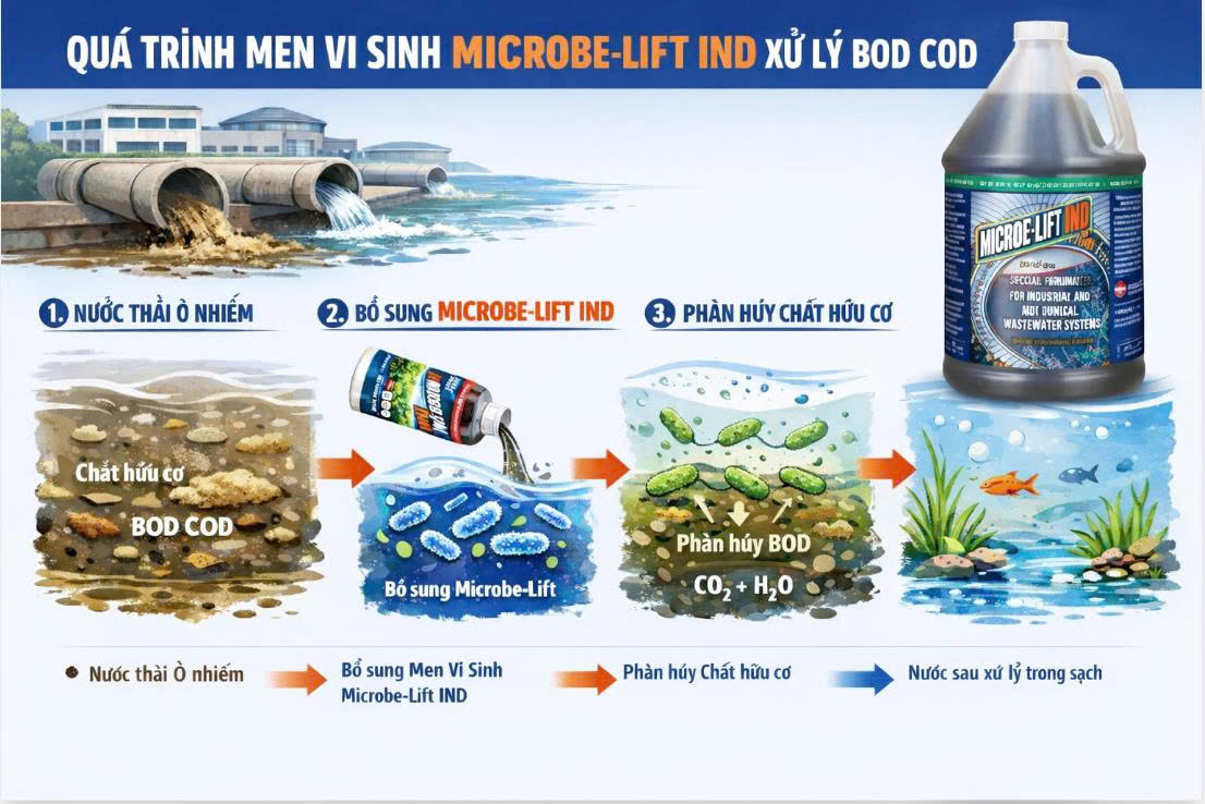 Microbe-Lift IND xử lý BOD, COD