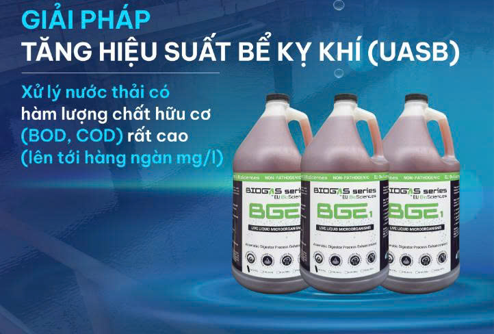 ELI Biosciences BGE1 – Vi sinh kỵ khí (Giảm BOD, COD, TSS)