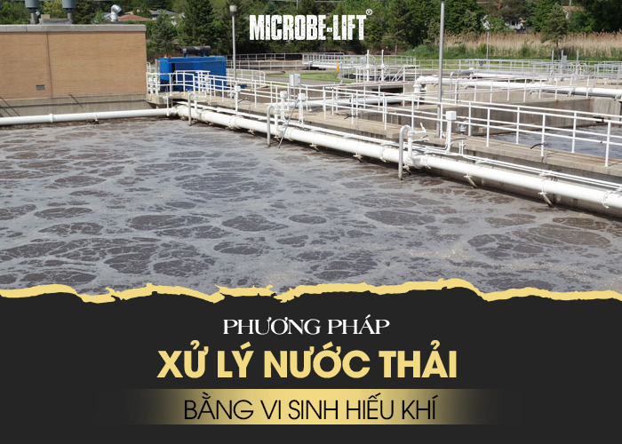 Vai trò của vi sinh trong xử lý nước thải – Yếu tố quyết định hiệu quả hệ thống