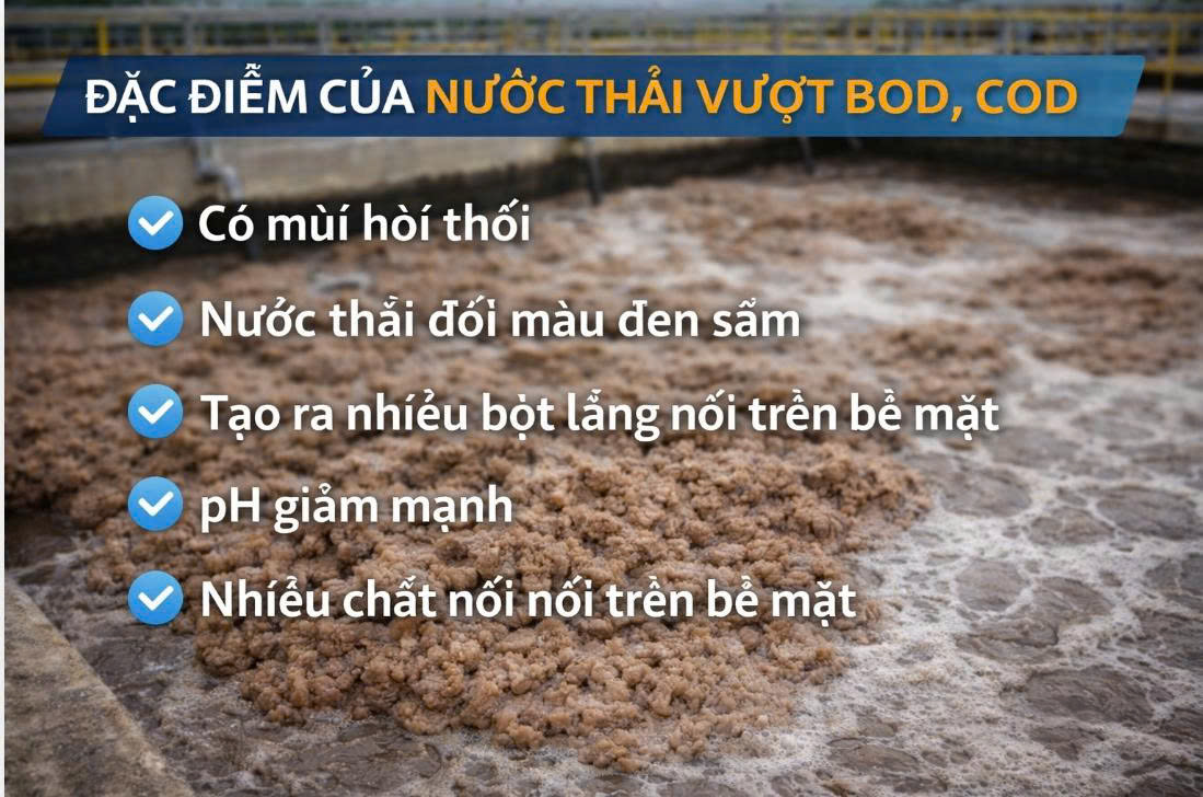 Đặc điểm của nước thải vượt BOD, COD