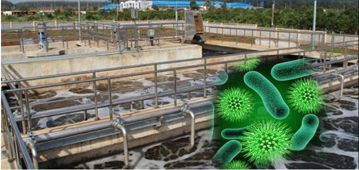 Vi Sinh Giảm COD Cho Nước Thải Công Nghiệp