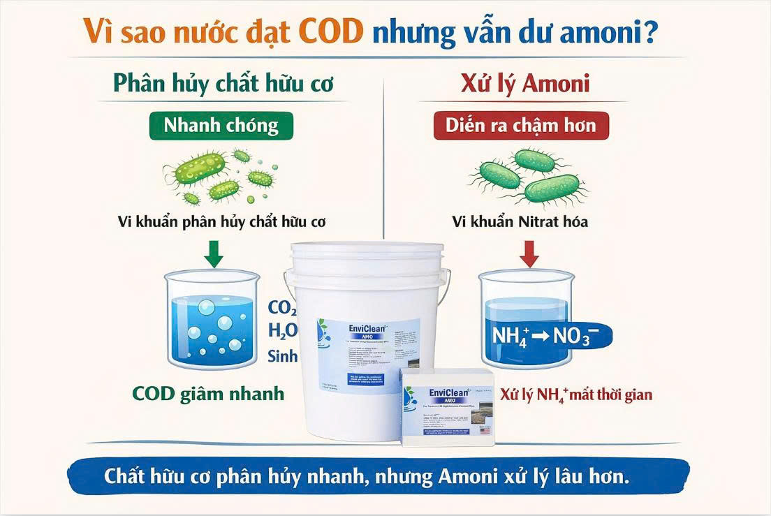 Vì Sao Nước Thải Đạt COD Nhưng Vẫn Dư Amoni (NH4)?