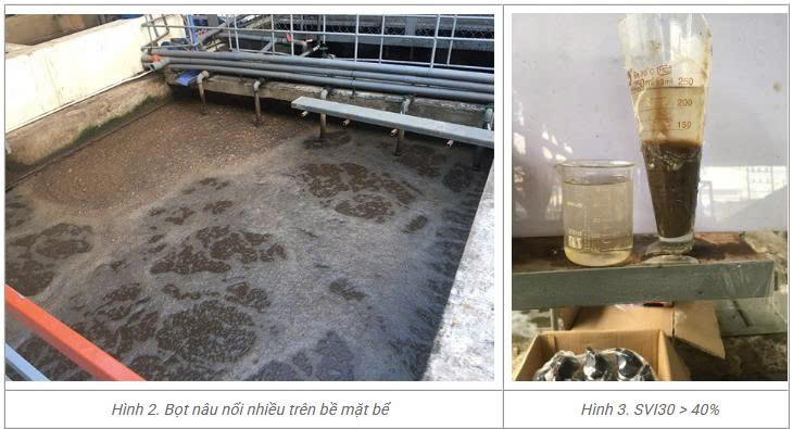Bọt nâu tại bể hiếu khí là gì?