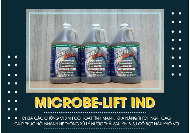Microbe-Lift IND – Giải pháp hỗ trợ xử lý bọt nâu hiệu quả