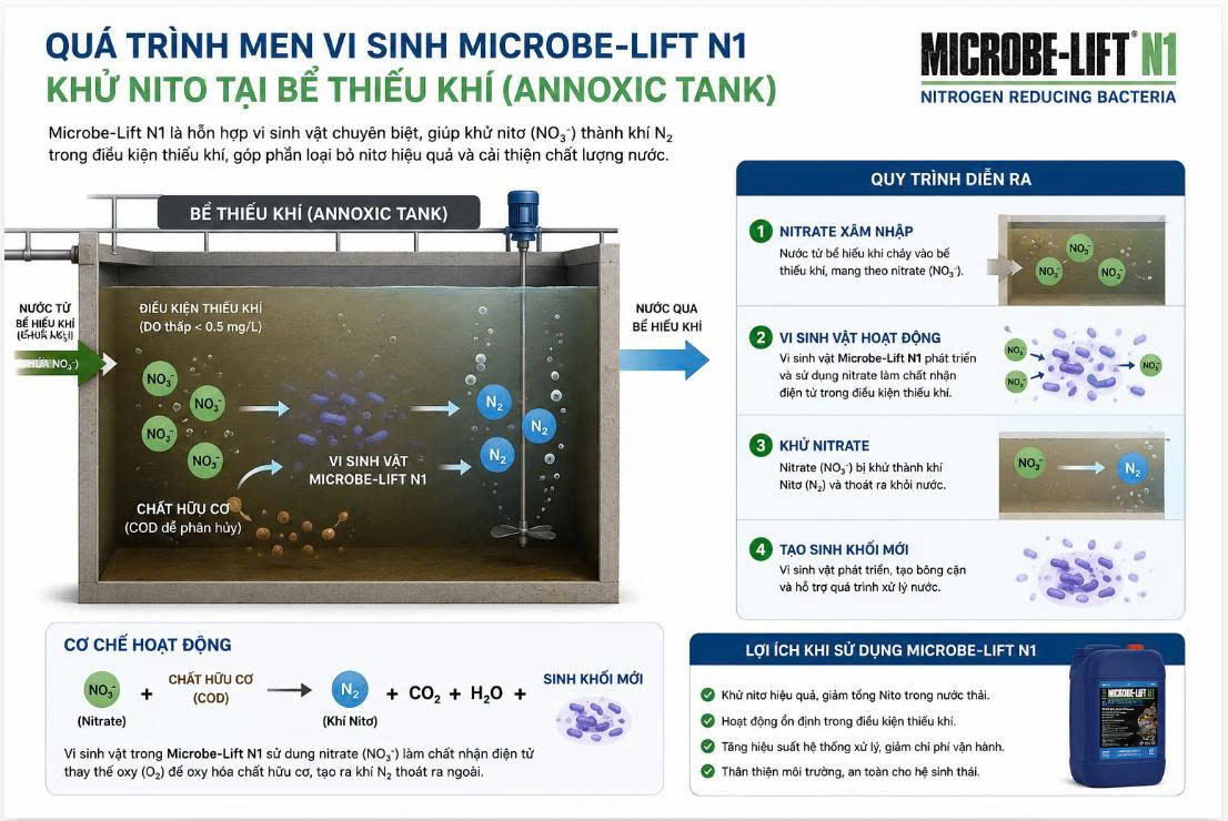 Microbe-Lift N1 là dòng men vi sinh chuyên xử lý Nitơ tại bể thiếu khí (Anoxic).