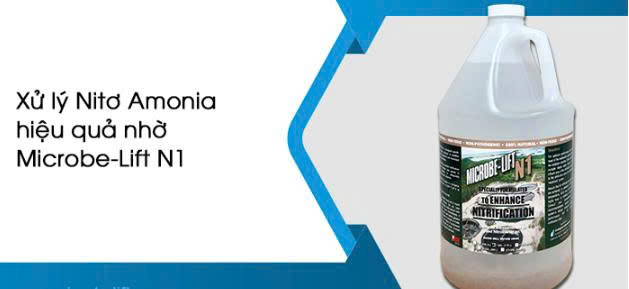 Men vi sinh xử lý amoni microbe lift n1