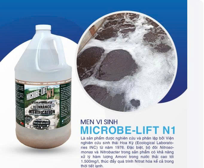 men vi sinh xử lý amoni microbe lift N1