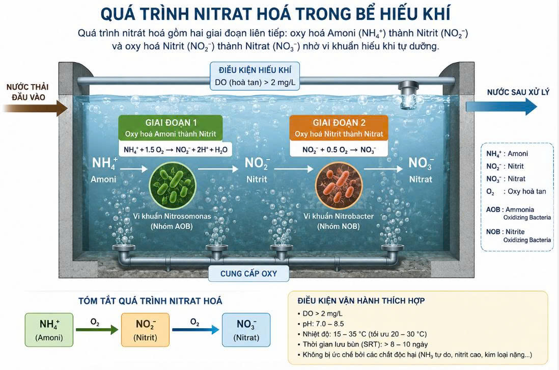 Ứng dụng men vi sinh MICROBE-LIFT N1 xử lý Nito trong nước thải y tế
