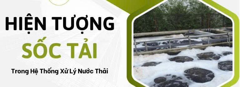 Cách Phục Hồi Hệ Vi Sinh Sau Sốc Tải Trong Hệ Thống Xử Lý Nước Thải