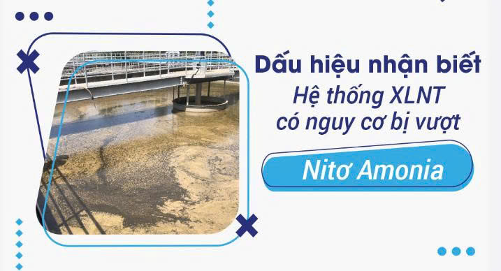Dấu Hiệu Nhận Biết Thiếu Vi Sinh Nitrat Hóa Trong Hệ Thống Xử Lý Nước Thải