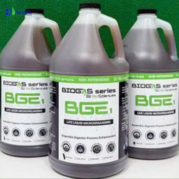 ELI Biosciences BGE1 – Vi sinh kỵ khí (Giảm BOD, COD, TSS)